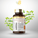 Carlyle Prebiotic, Probiotic & Postbiotic 50 Billion CFU – 60 Capsules | GMO-Free | Digestive & Immune Health - Image 4