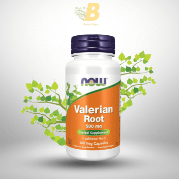 NOW Foods Valerian Root, 500mg,NOW Foods Valerian Root 500mg BD, NOW Foods Valerian Root BD,NOW Foods price in BD,Herbal supplements in Bangladesh