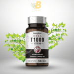 Piping Rock Tribulus in Bangladesh