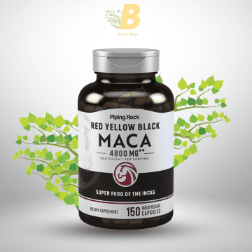 Piping Rock Red Yellow Maca in Bangladesh