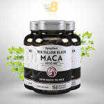 Piping Rock Red Yellow Maca in Bangladesh