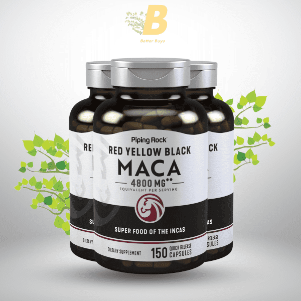 Piping Rock Red Yellow Maca in Bangladesh