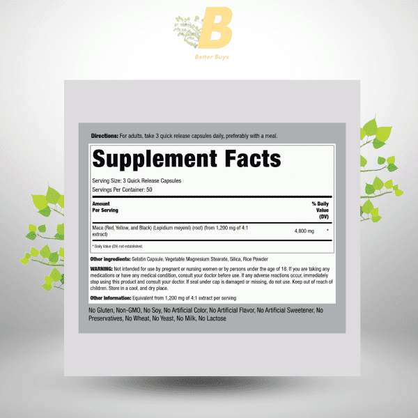 Piping Rock Red Yellow Maca in Bangladesh