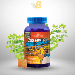 21st Century Zoo Friends Multi Gummies Plus Extra C Children's Multivitamin Supplement - 60 Gummies