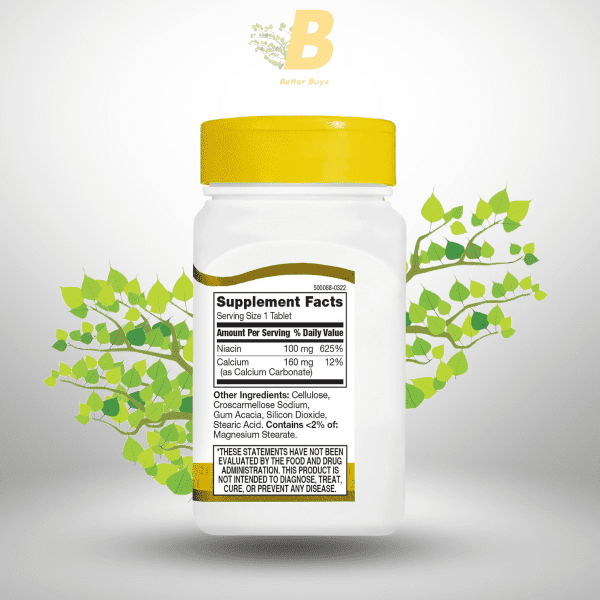 21st Century Niacin - 100mg - 110 Tablets - Image 3