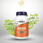 NOW GABA with Vitamin B-6-500 mg, 100 Veg Capsules