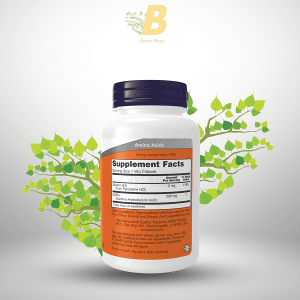 NOW GABA with Vitamin B-6-500 mg, 100 Veg Capsules - Image 3