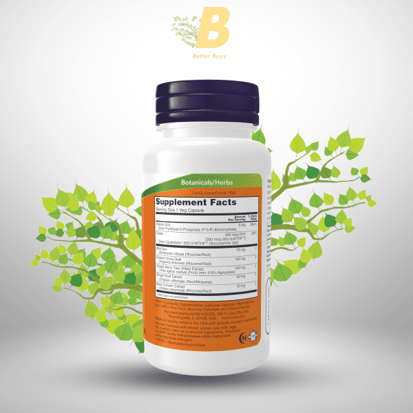 NOW Foods Supplements, Female Balance™ with Wild Yam, Vitex, Dong Quai, GLA, Vitamin B-6 and Folate, 90 Capsules - Image 3