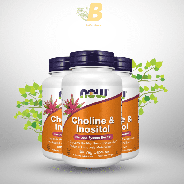 NOW Foods Supplements, Choline & Inositol 500 mg, Healthy Nerve Transmission*, Nervous System Health*, 100 Capsules - Image 2