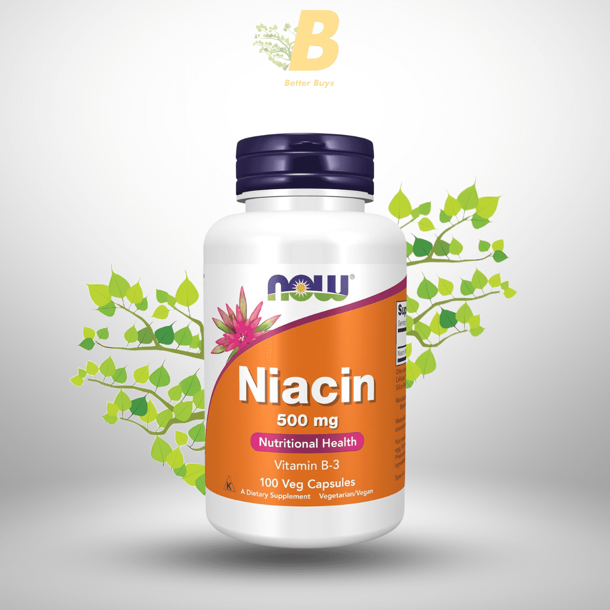 NOW Foods Niacin 500mg, Niacin supplement in Bangladesh, Vitamin B3 capsule price in BD, NOW Foods Niacin 500mg, Niacin supplement in Bangladesh, Vitamin B3 capsule price in BD,