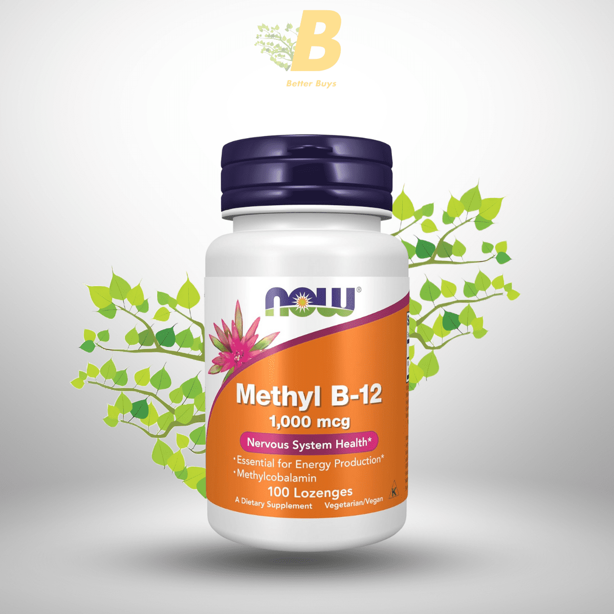NOW Methyl B-12 1,000 mcg ,100 Lozenges in Bangladesh NOW Methyl B-12 1,000 mcg ,100 Lozenges in Bangladesh