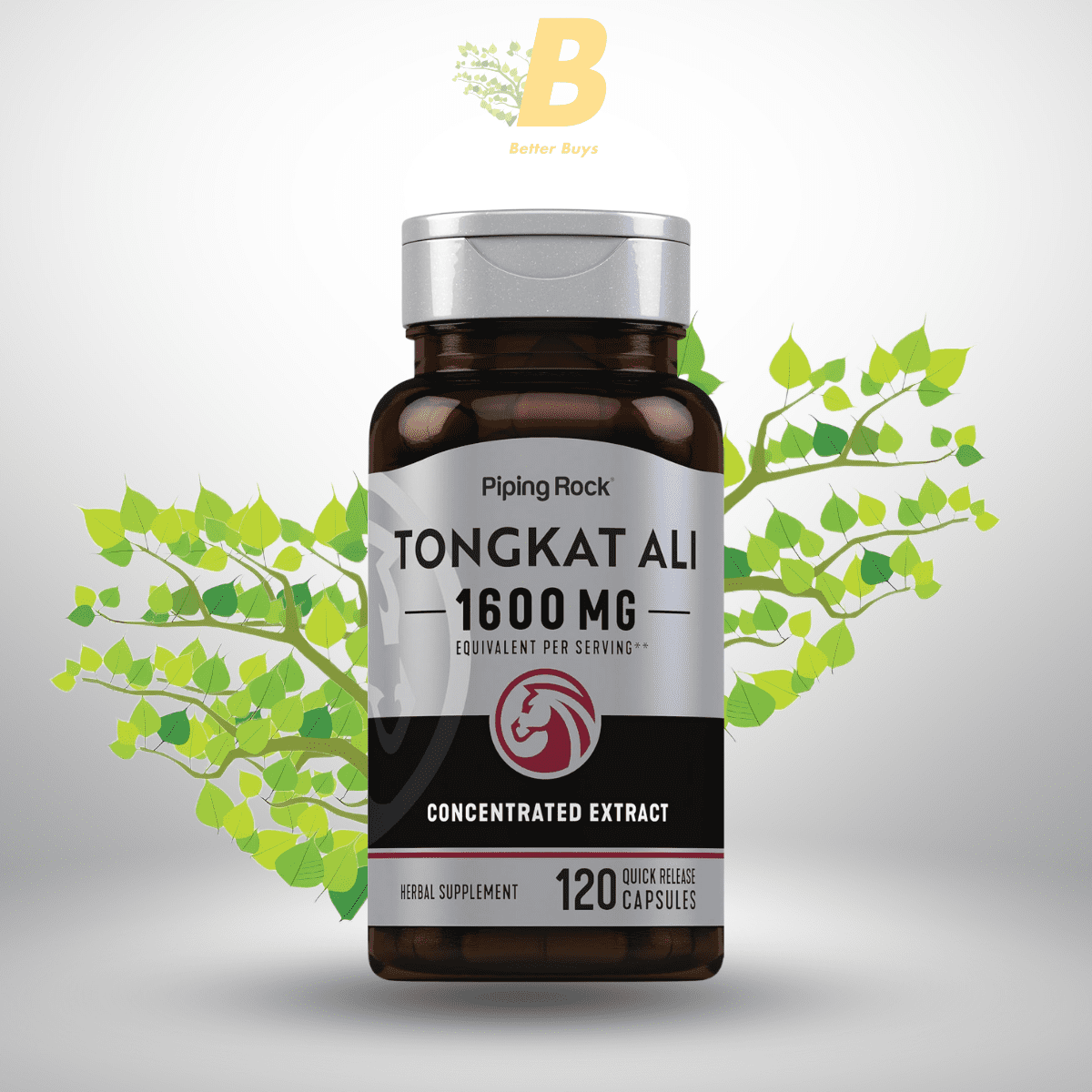 Piping Rock Tongkat Ali in Bangladesh Piping Rock Tongkat Ali in Bangladesh