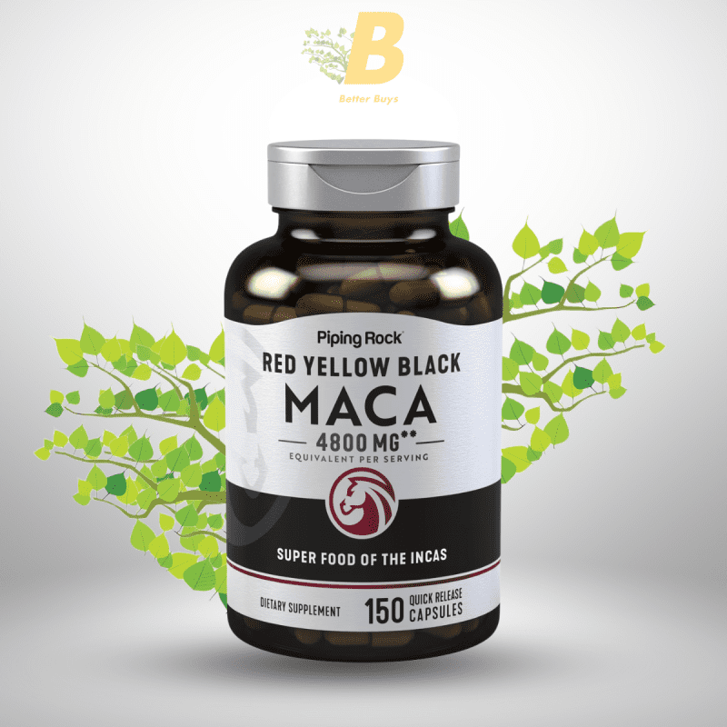 Piping Rock Red Yellow Maca in Bangladesh