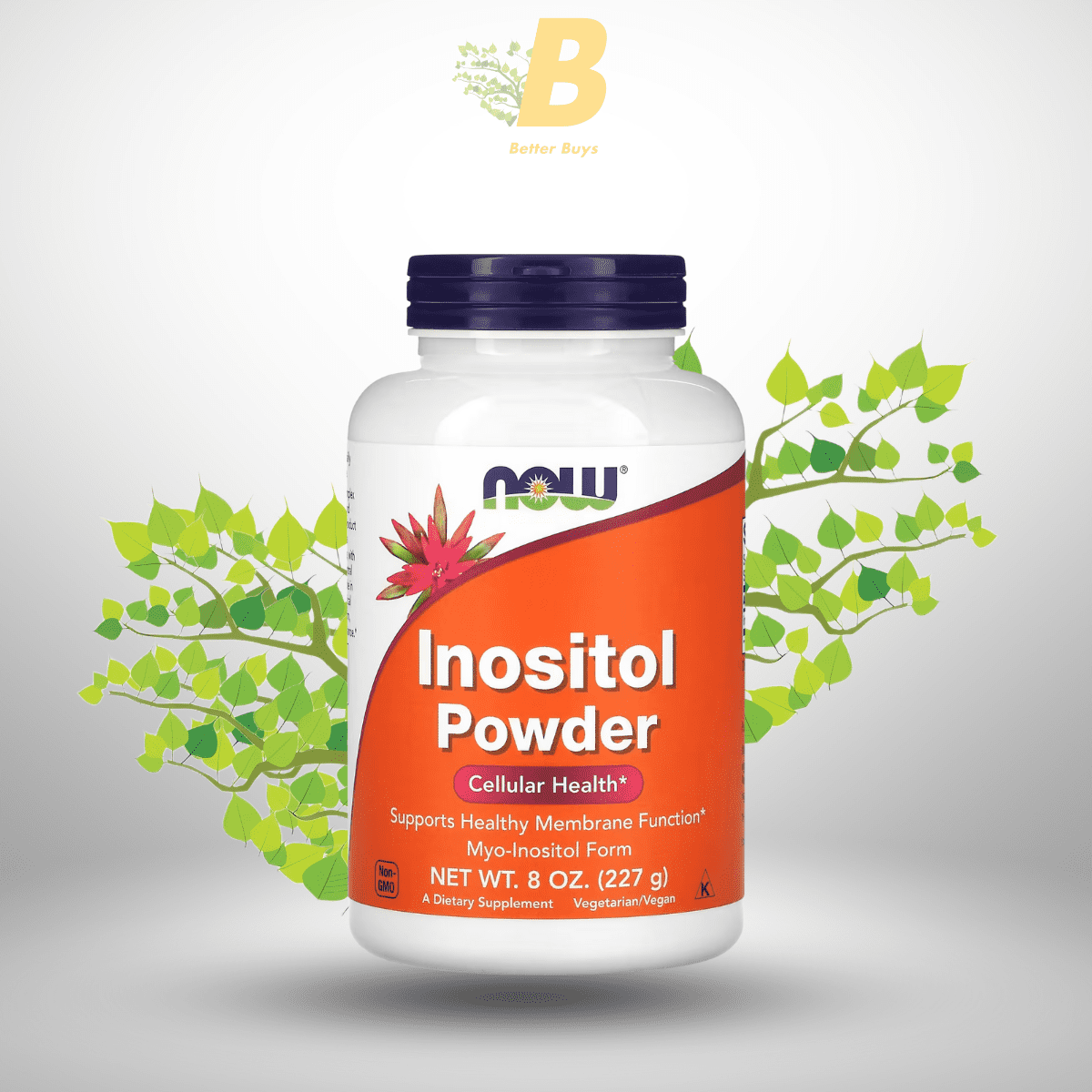241 NOW Inositol Powder-8 oz (227 g) - Image 1