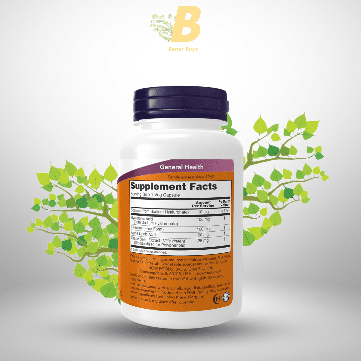 NOW Foods Supplements, Hyaluronic Acid 100 mg, Double Strength with L-Proline, Alpha Lipoic Acid and Grape Seed Extract, 120 Veg Capsules 1 270