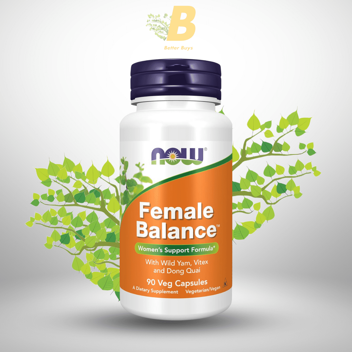 319 NOW Foods Supplements, Female Balance™ with Wild Yam, Vitex, Dong Quai, GLA, Vitamin B-6 and Folate, 90 Capsules - Image 1