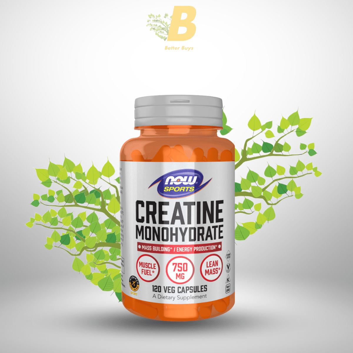 355 OW Foods Sports Nutrition, Creatine Monohydrate 750 mg, Mass Building*/Energy Production*, 120 Veg Capsules - Image 1
