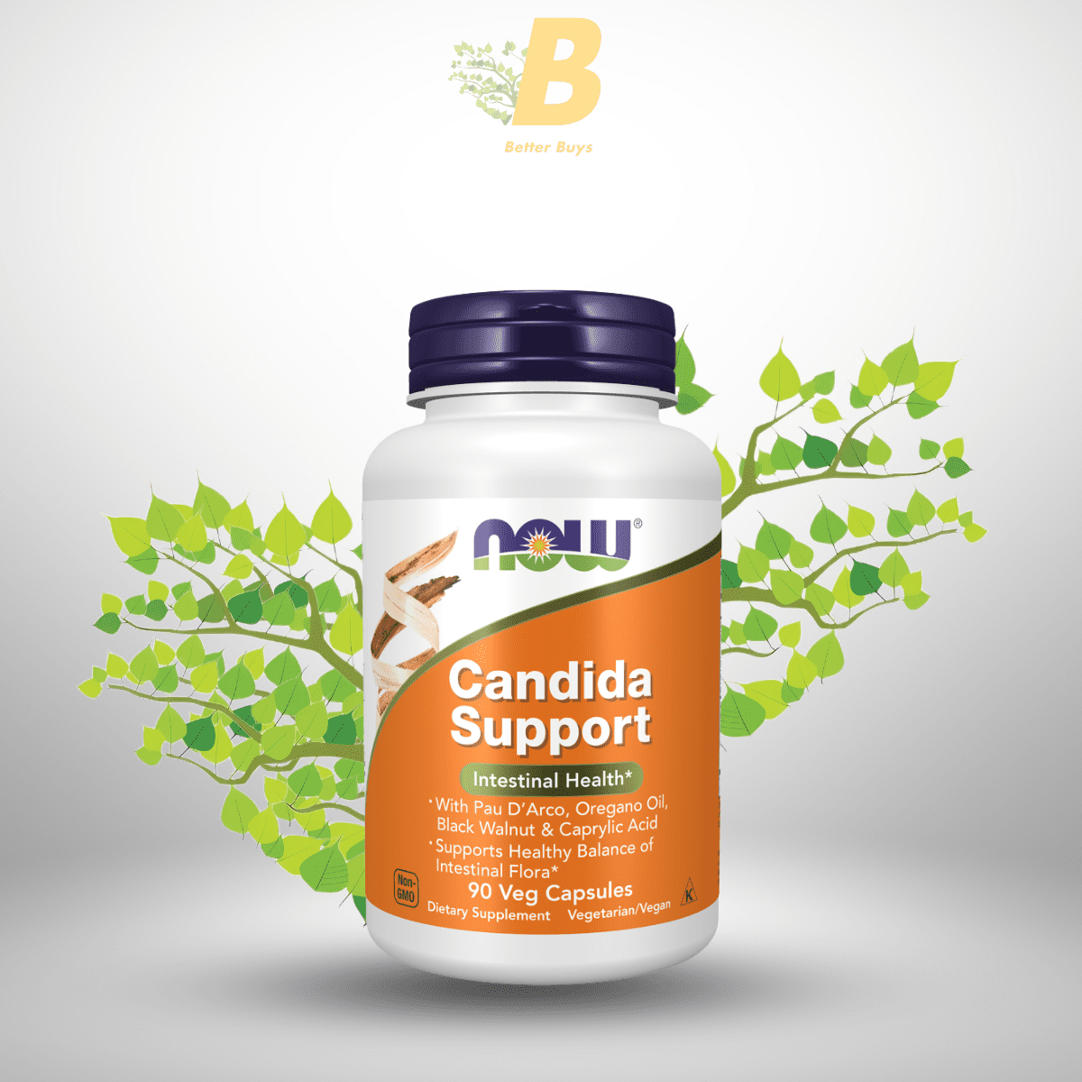 381 Now Candida Support-90 veg capsules - Image 1