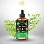 Nutra Harmony Mullein Extract 120ml Liquid in BD