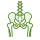 Bones icon